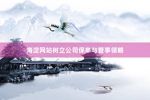 海淀网站树立公司保举与管事领略