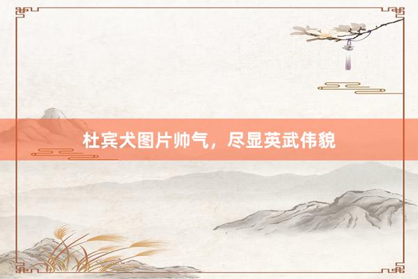 杜宾犬图片帅气,尽显英武伟貌