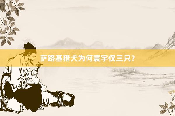 萨路基猎犬为何寰宇仅三只？